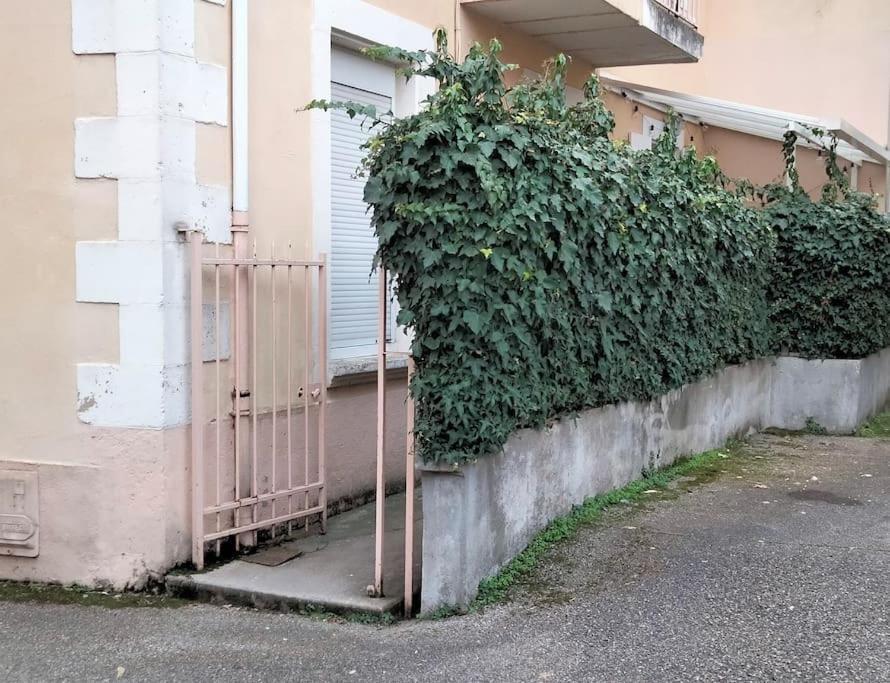 Le Cocon Zen Appartement Voiron Buitenkant foto