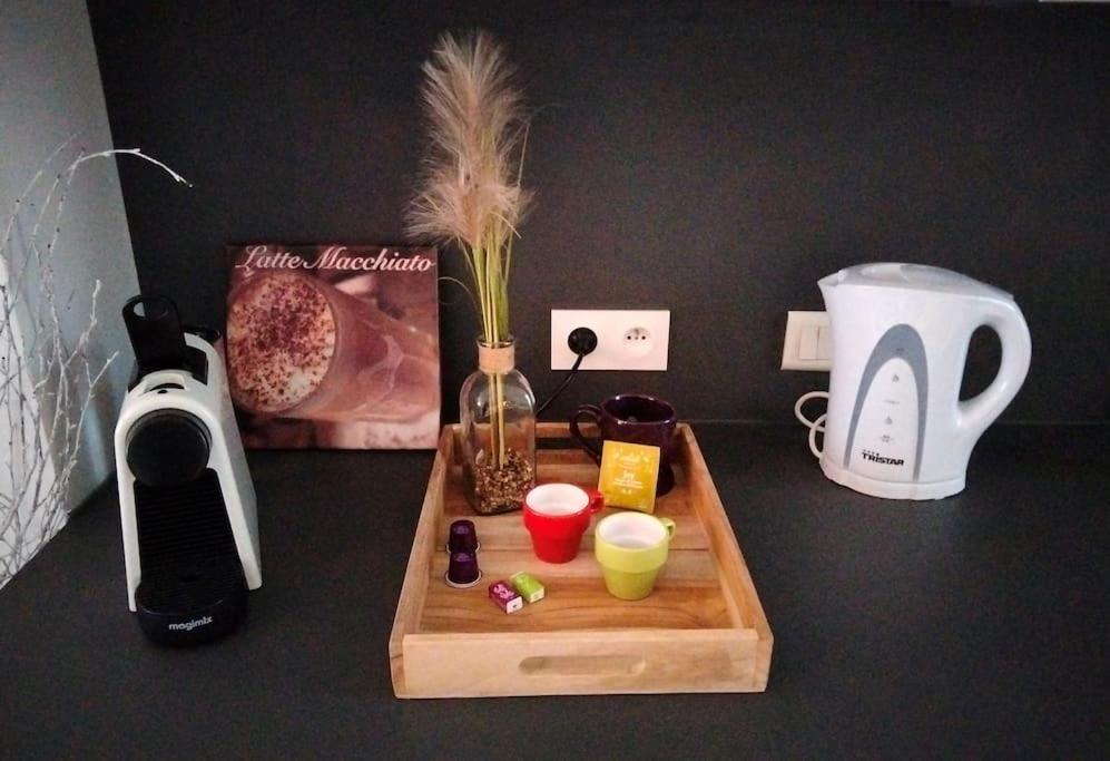 Le Cocon Zen Appartement Voiron Buitenkant foto