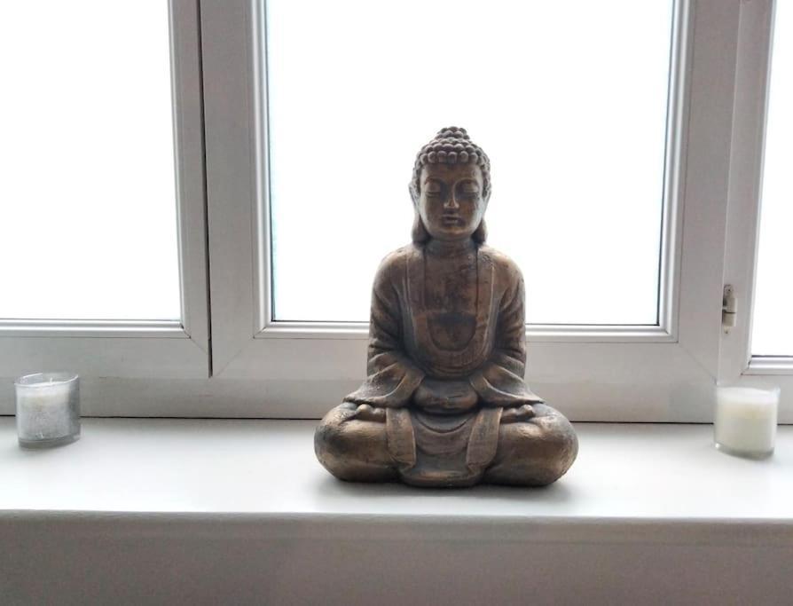 Le Cocon Zen Appartement Voiron Buitenkant foto